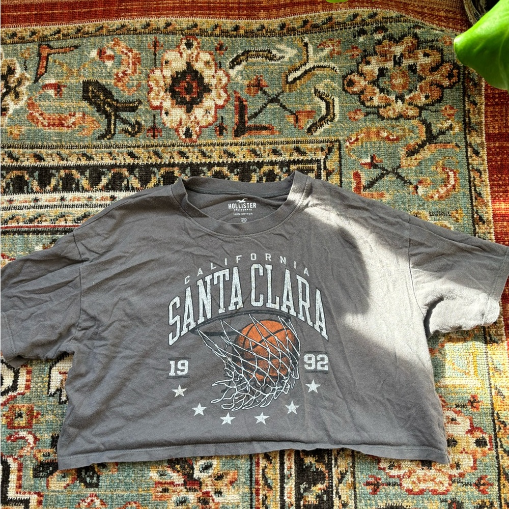 Hollister Gray Santa Clara Short Sleeve Tee